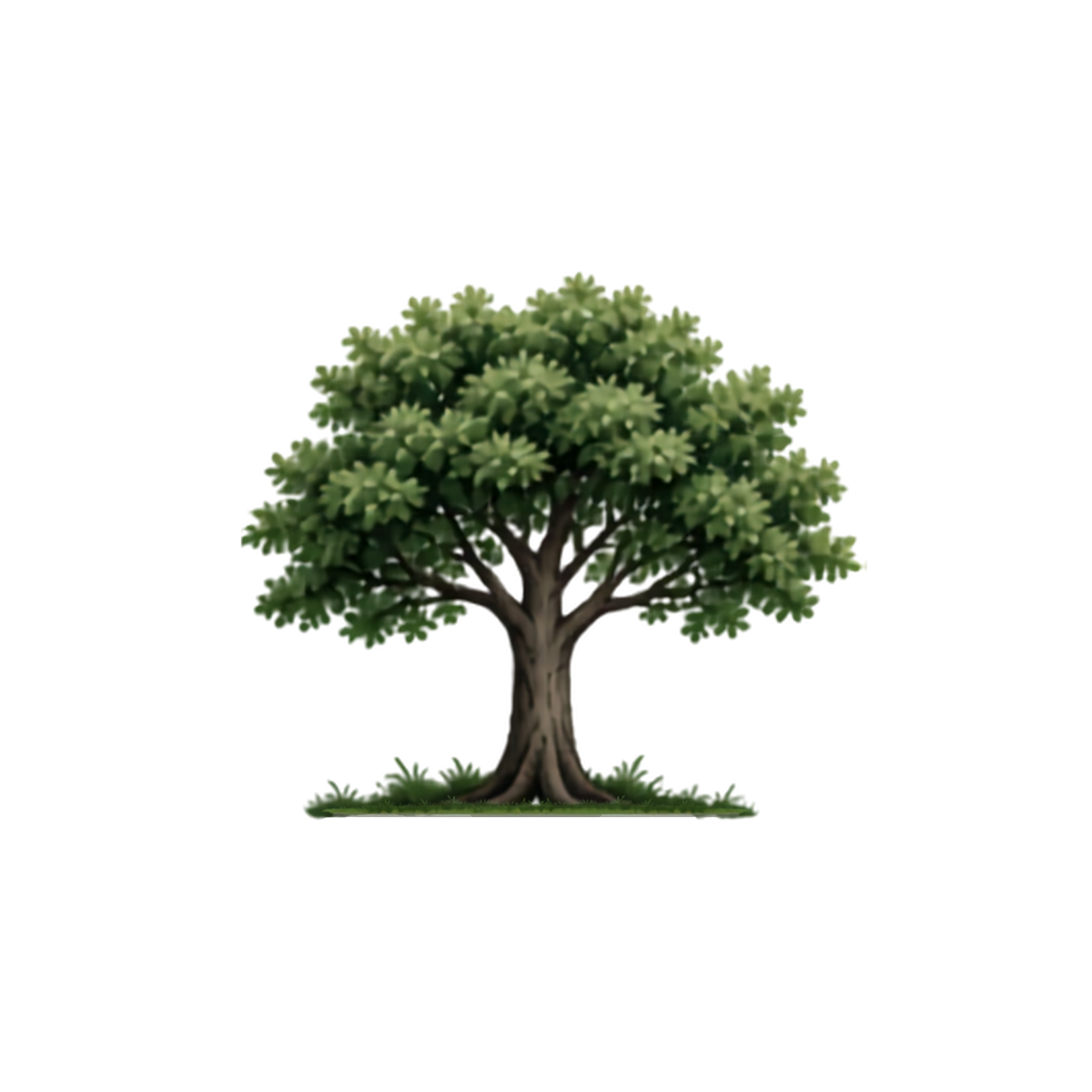 Now Tree
